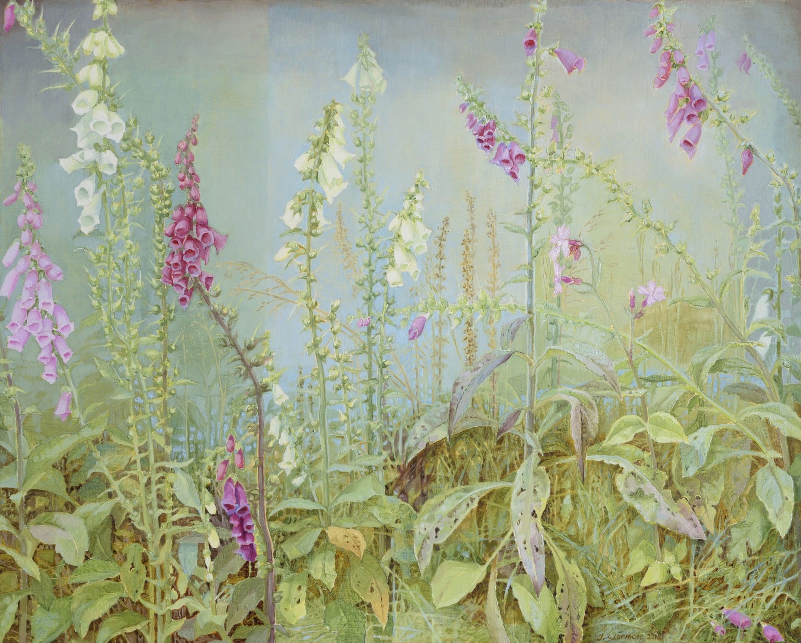 Jane Wormell, Foxgloves