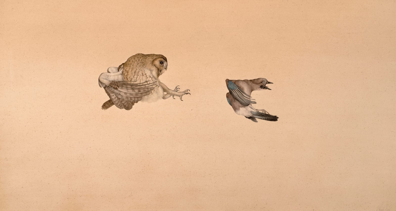 Steven Porwol, Tawny Owl & Jay, 2002