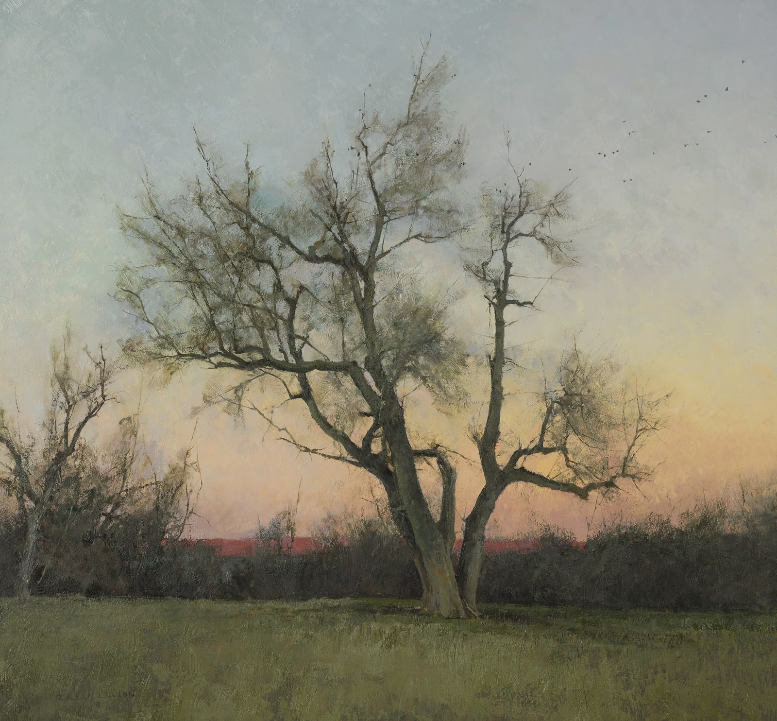 T. Allen Lawson, Evening