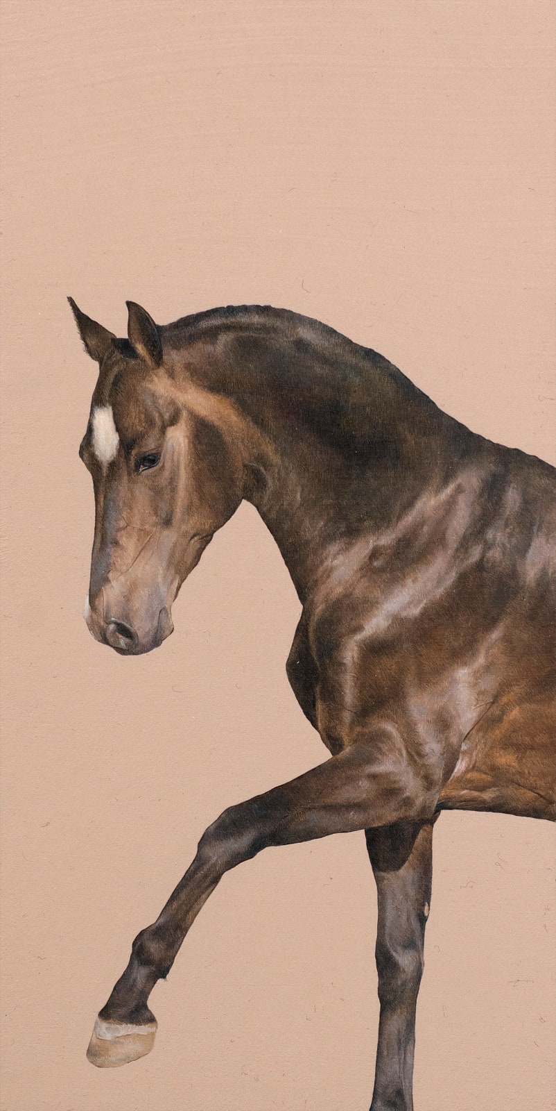 Joseph Black, Seuil I, 2022