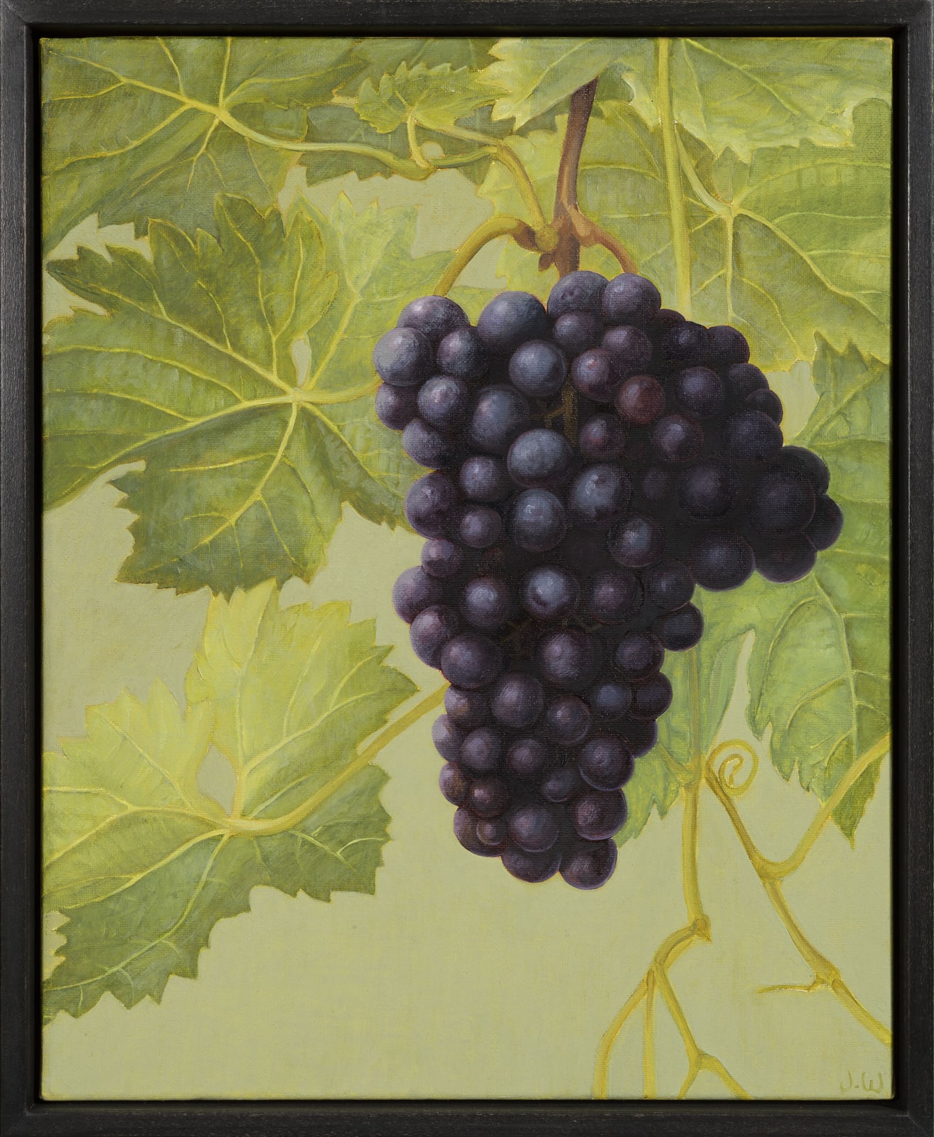 Jane Wormell, Black Grapes, 2020