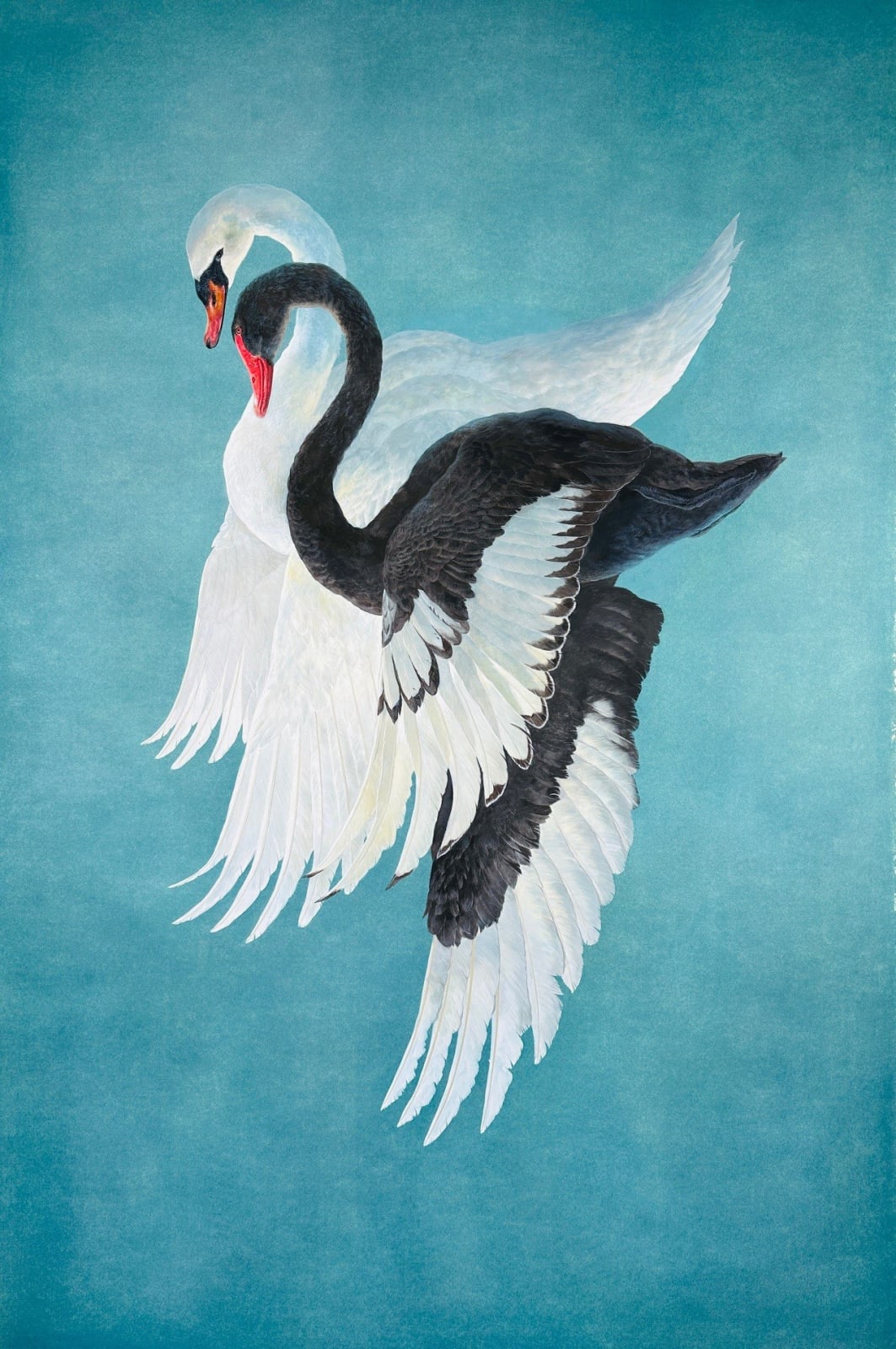 Tim Hayward, Duet , 2025