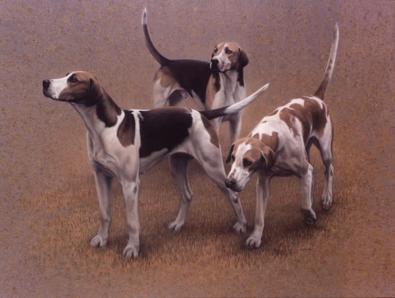 Gary Stinton, Vale of The White Horse Foxhounds