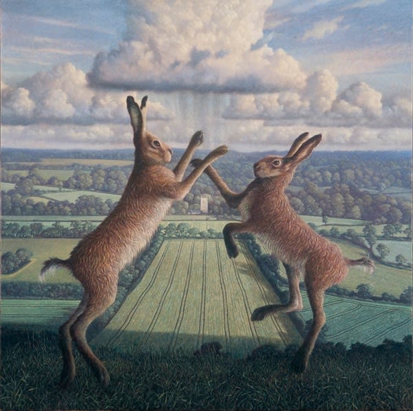 James Lynch, Spring Heralds (Boxing Hares)