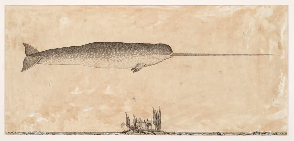Andrea Collesano, MONODON MONOCEROS ( Narwhal ), 2025