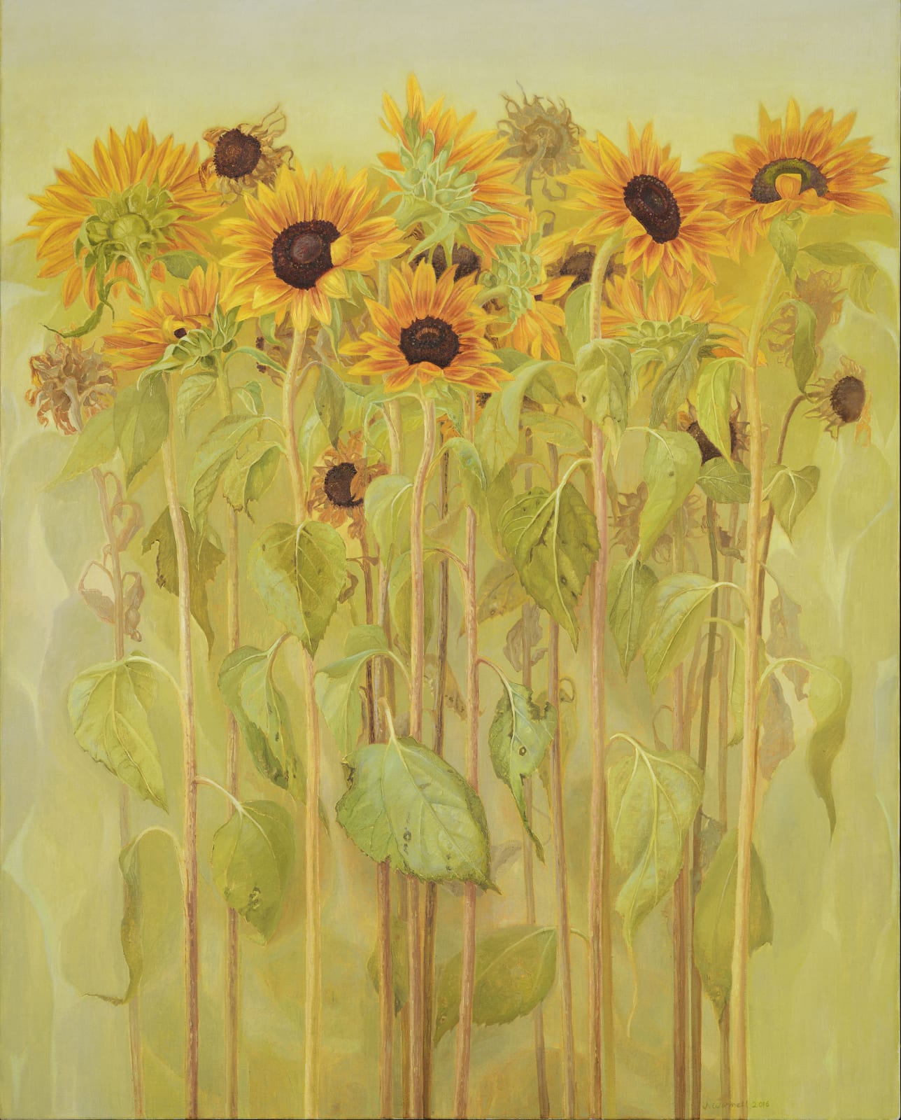 Jane Wormell, Amongst the sunflowers