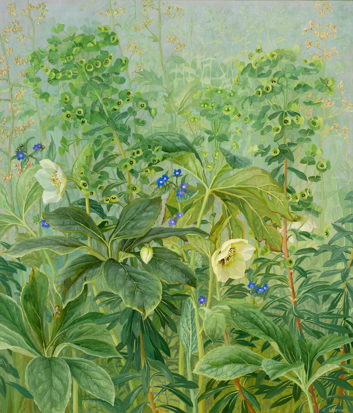Jane Wormell, Hellebores, Euphorbia & Alkanets