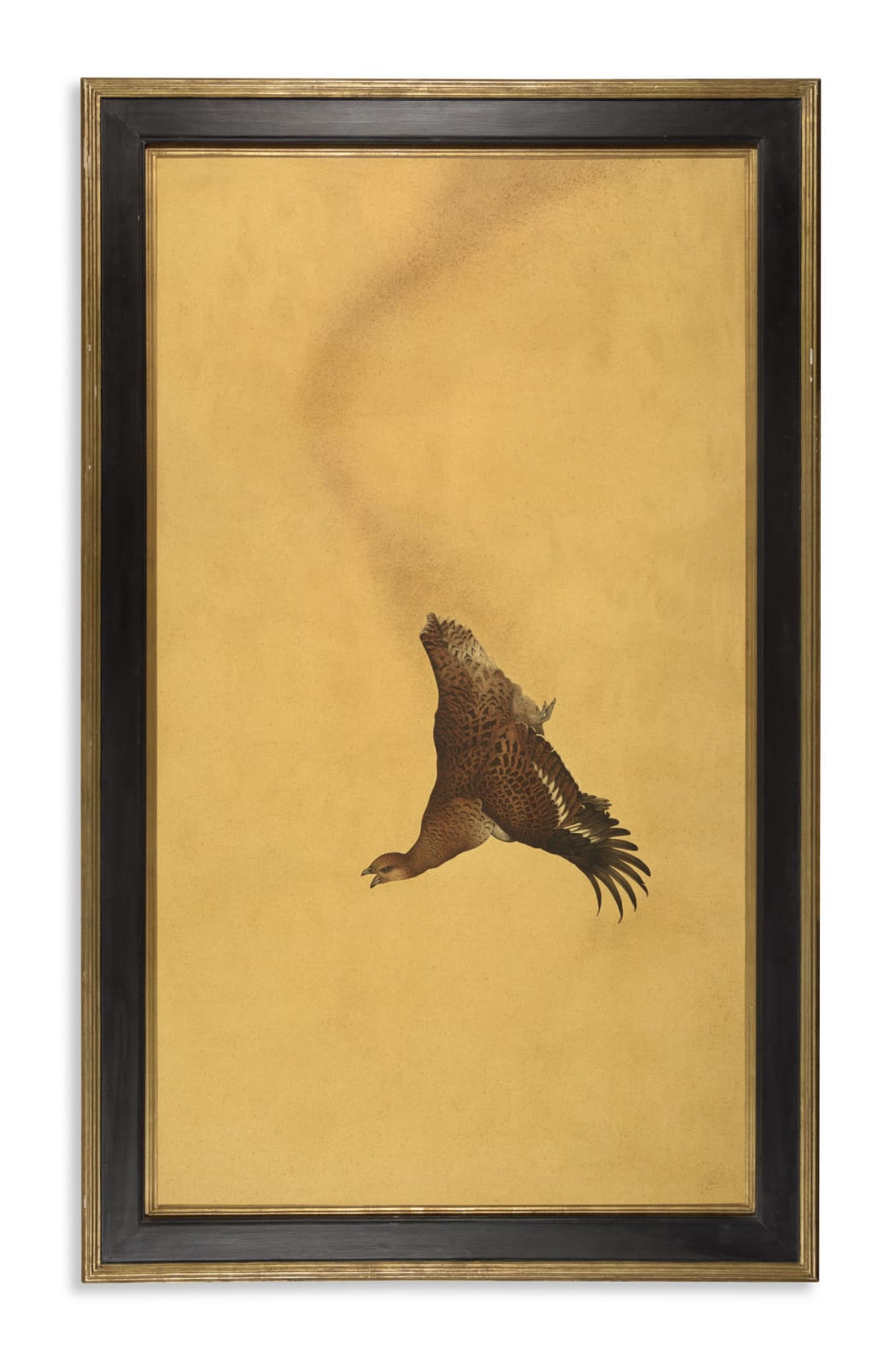 Steven Porwol, Black Grouse Hen