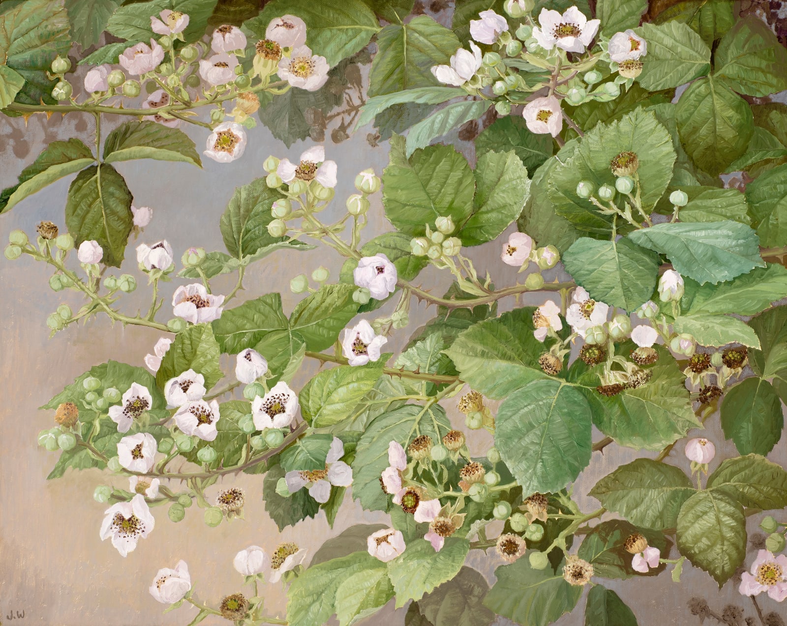 Jane Wormell, Bramble Flowers