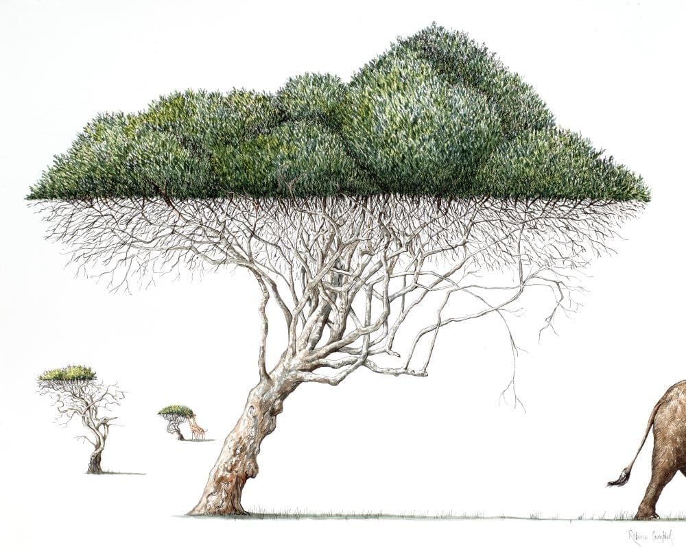 Rebecca Campbell, The Grazing Line, 2025