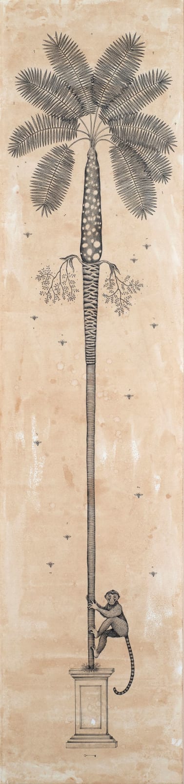 Andrea Collesano, ARECALES (Palm Tree), 2025