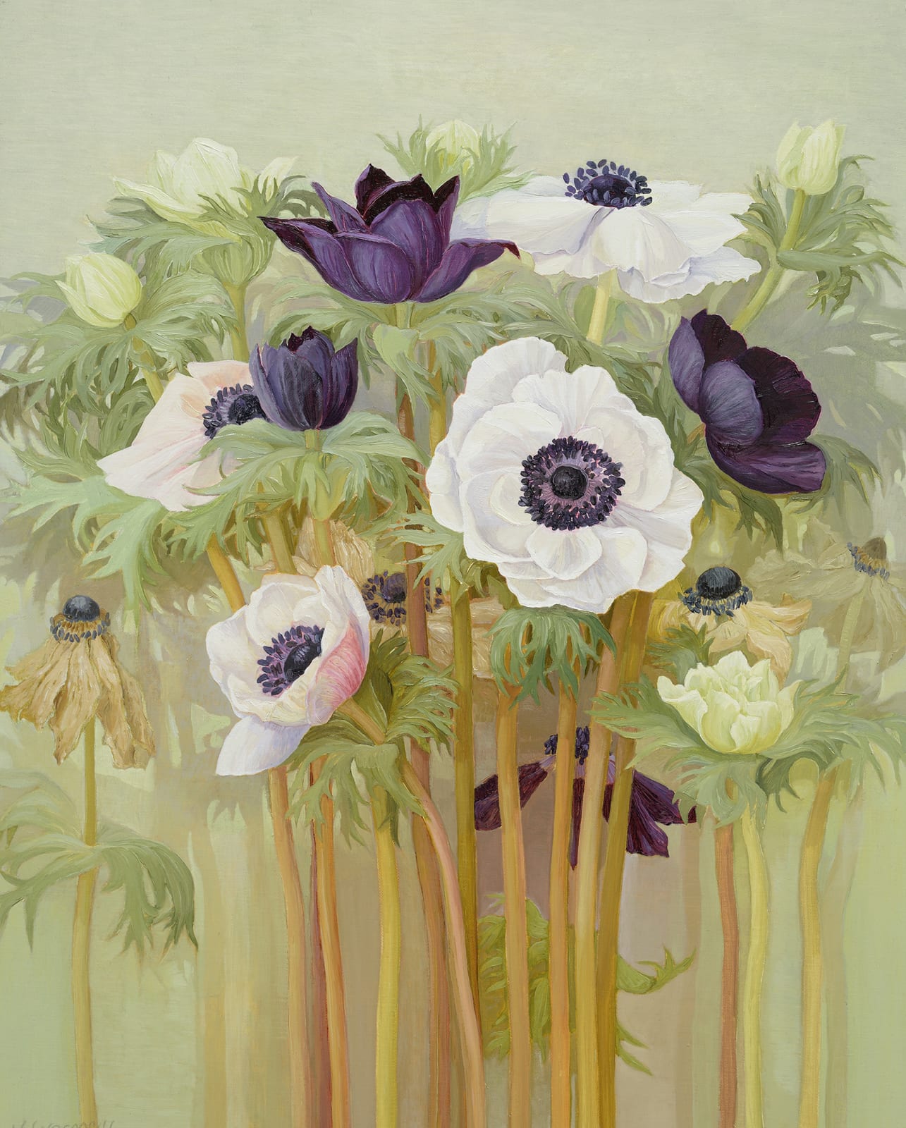 Jane Wormell, Anemones