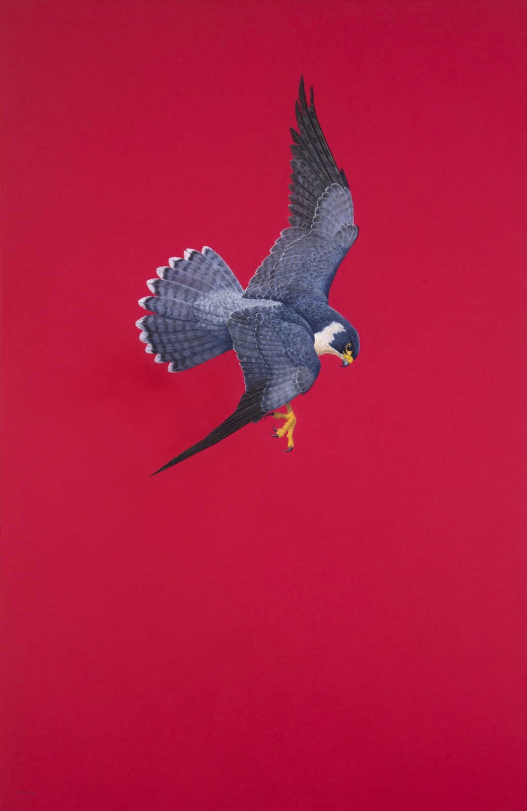 Tim Hayward, Poised - Red