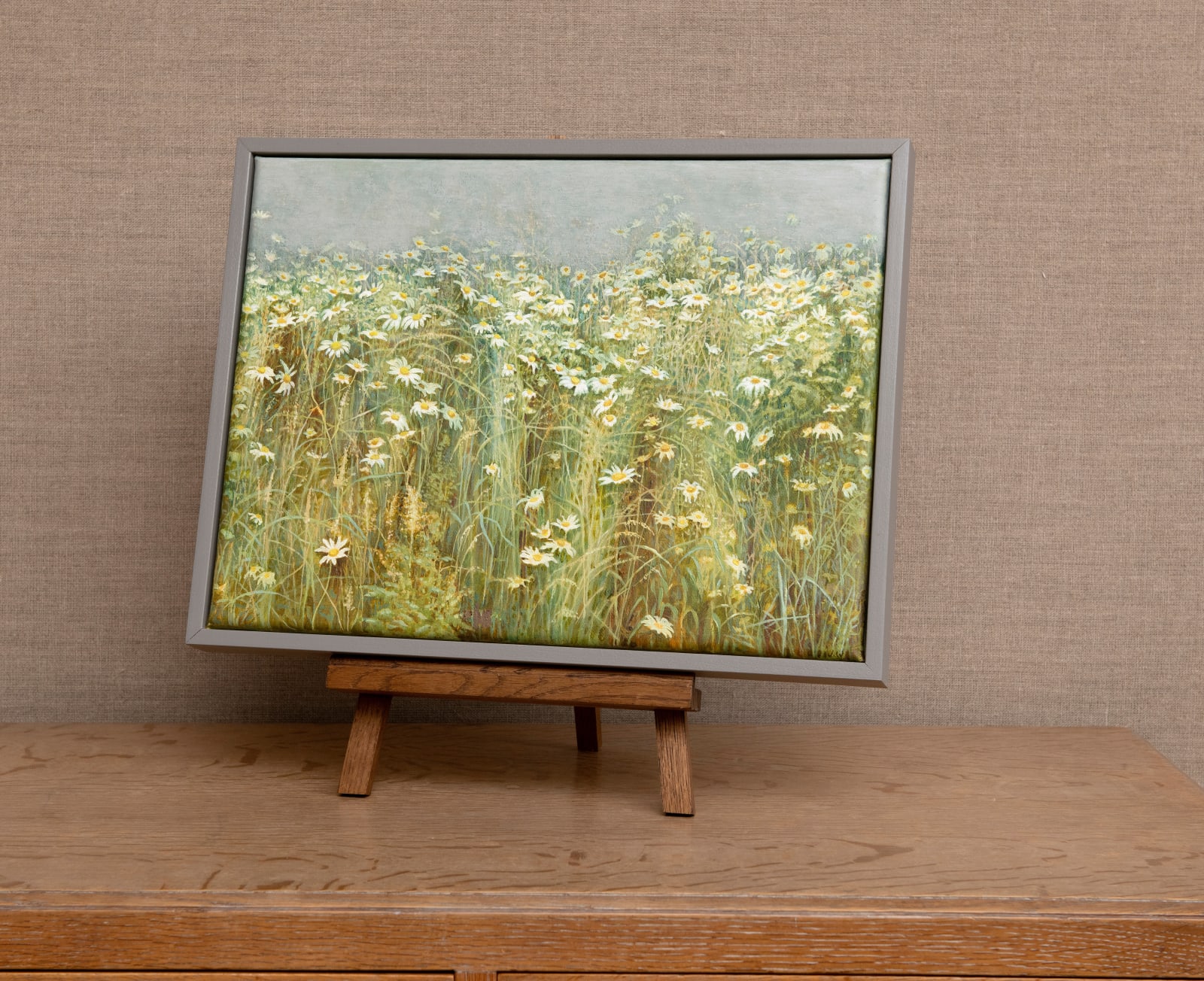 Jane Wormell, Oxeye Daisies