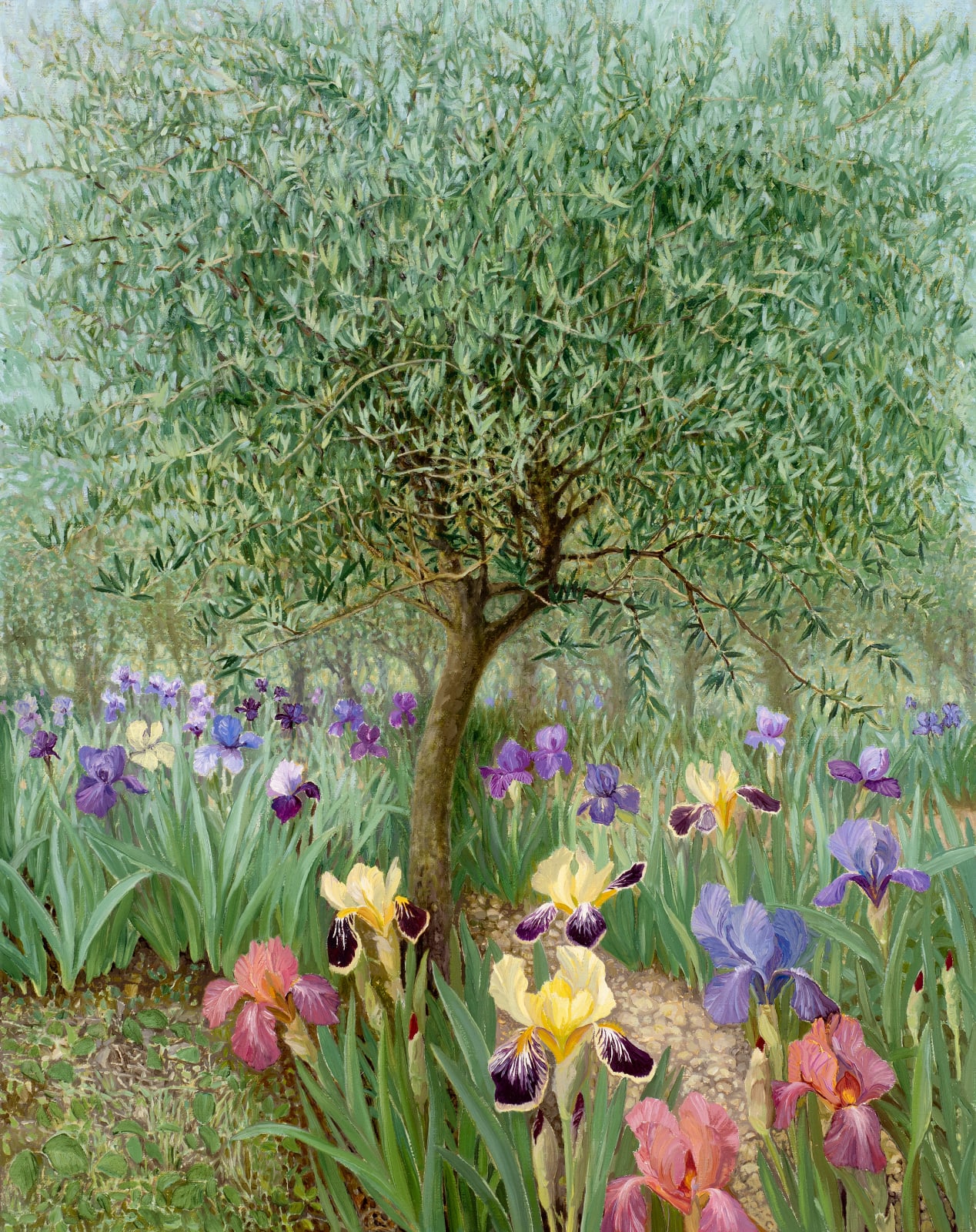 Jane Wormell, The Iris Garden, Florence