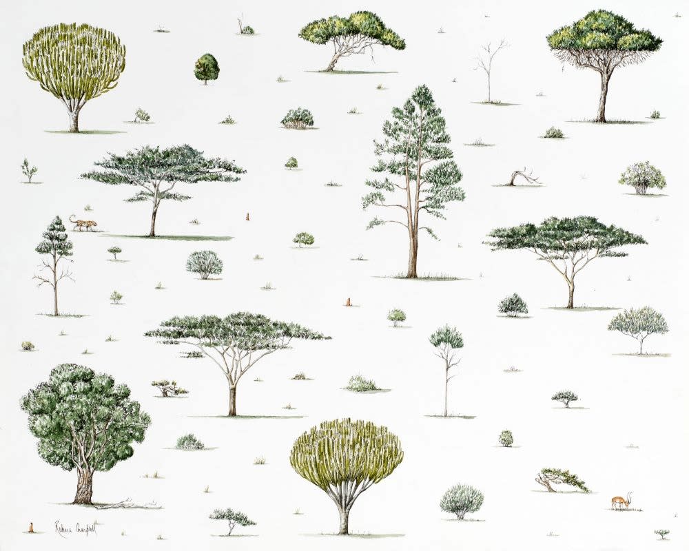 Rebecca Campbell, Africa’s Arboretum, 2025