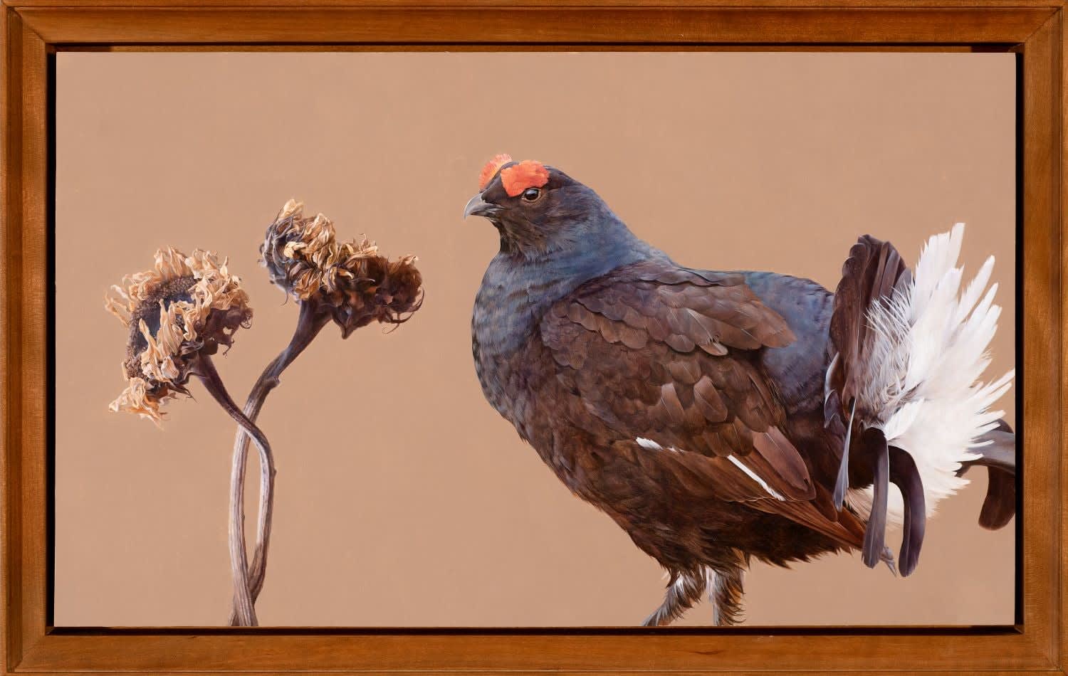 Joseph Black, Midnight, 2024