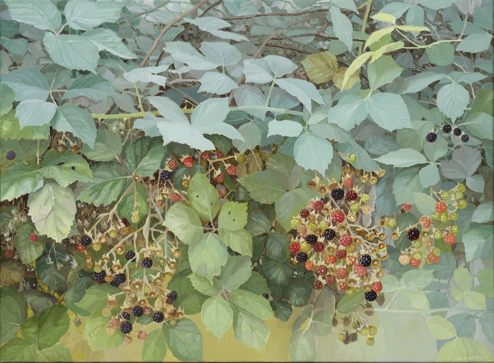 Jane Wormell, Blackberry Hedge, 2020