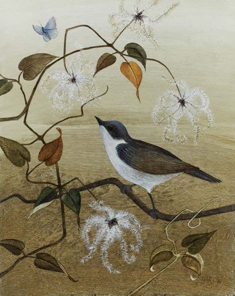 Harriet Bane, Lesser Whitethroat
