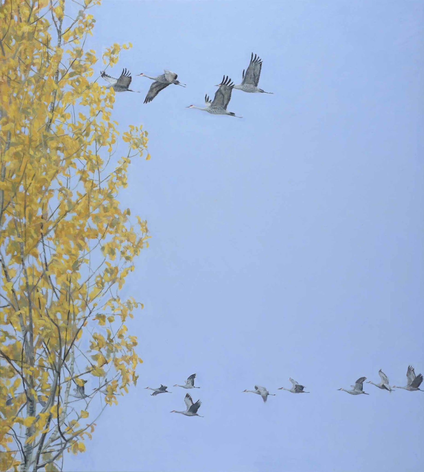 Ron Kingswood, Pilgrims