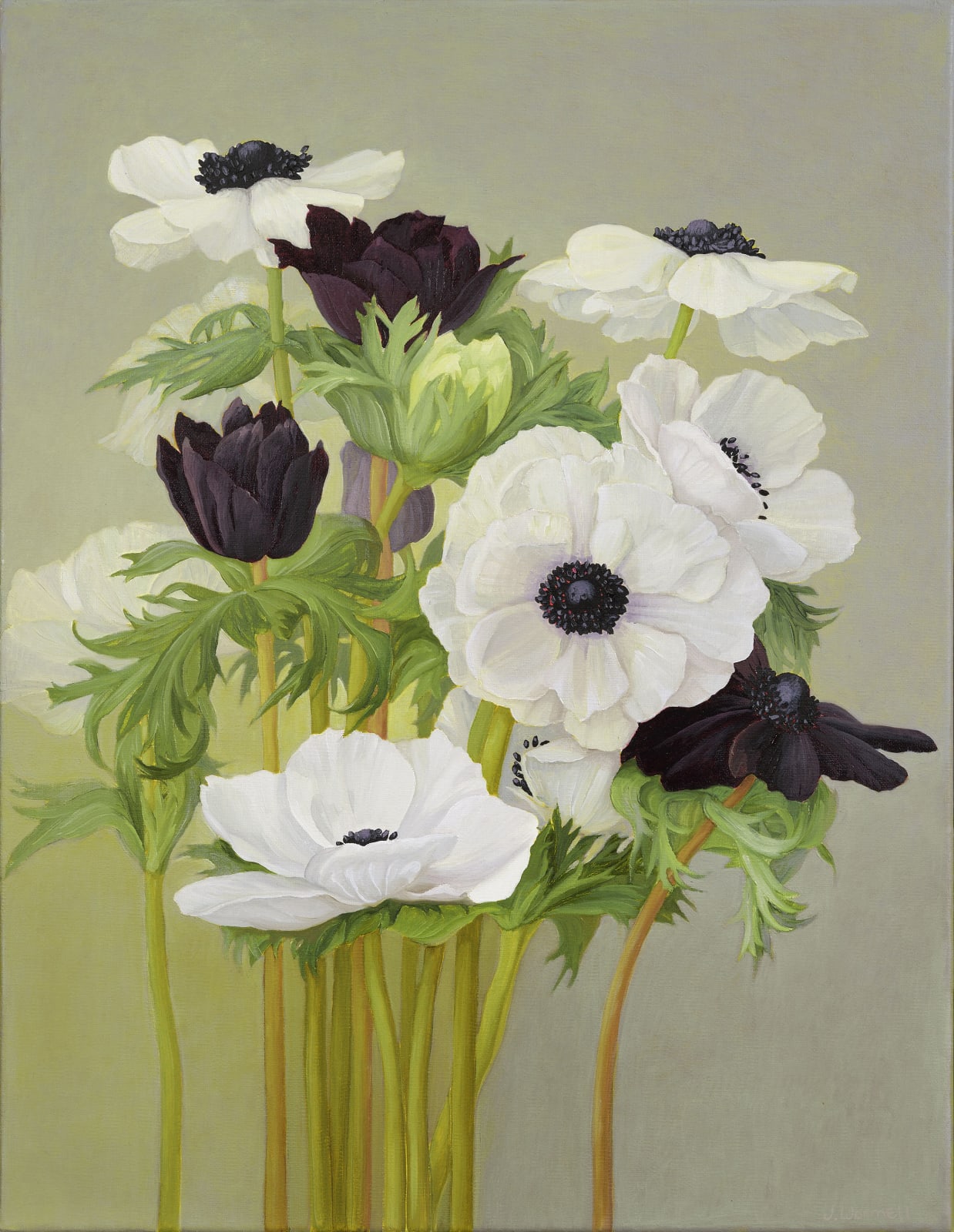 Jane Wormell, Anemones, 2020
