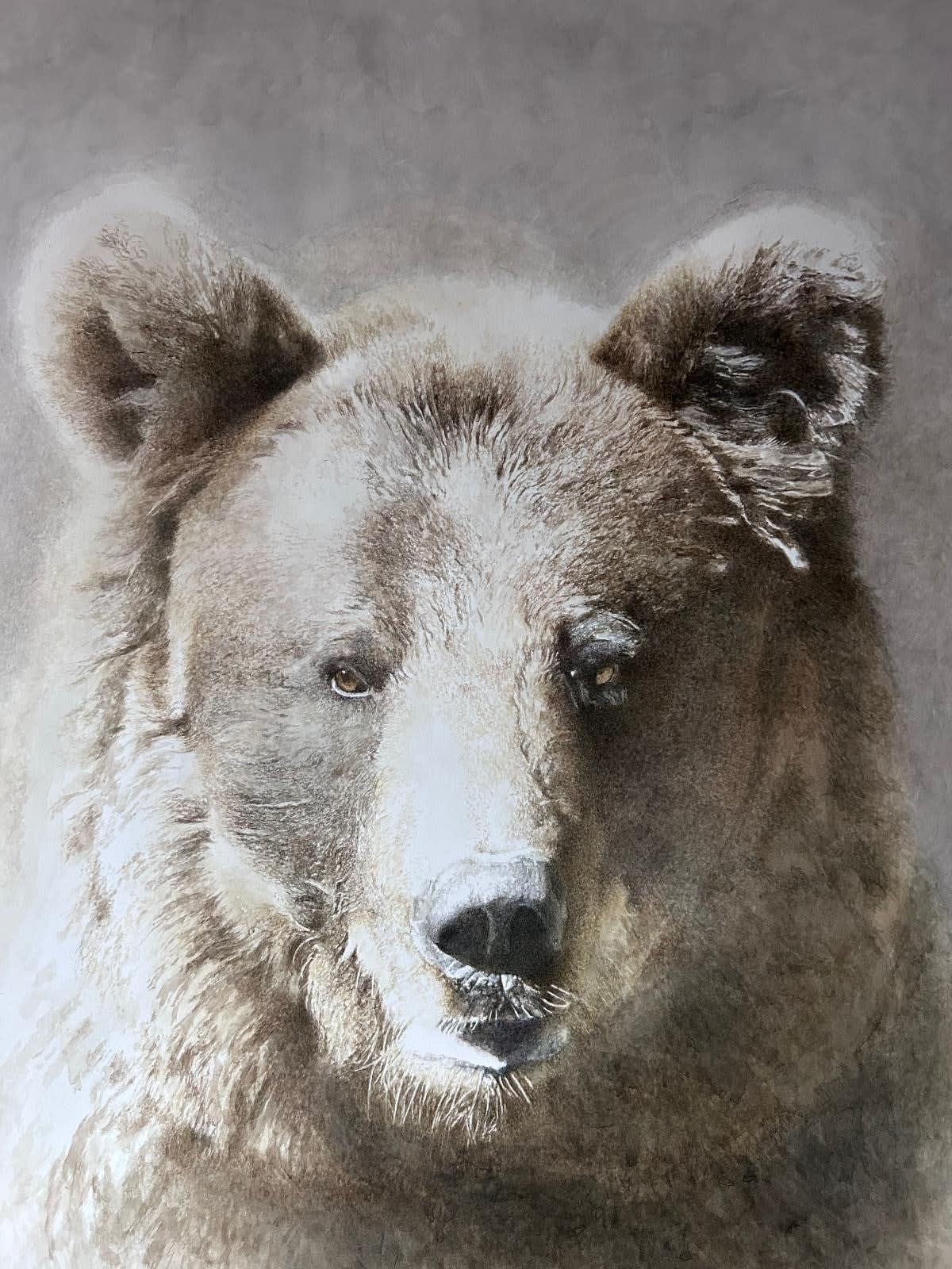 Marzio Tamer, Bear, 2025
