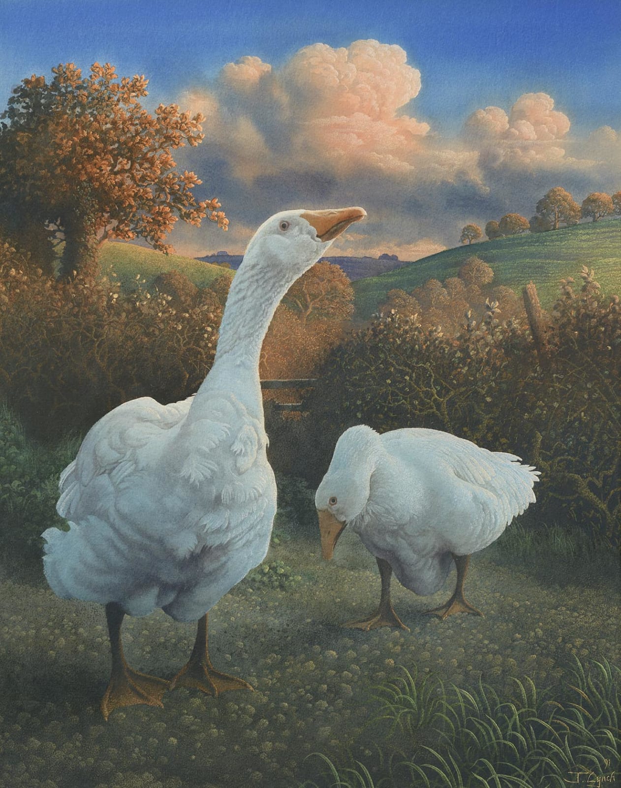 James Lynch, Goose I, 1991