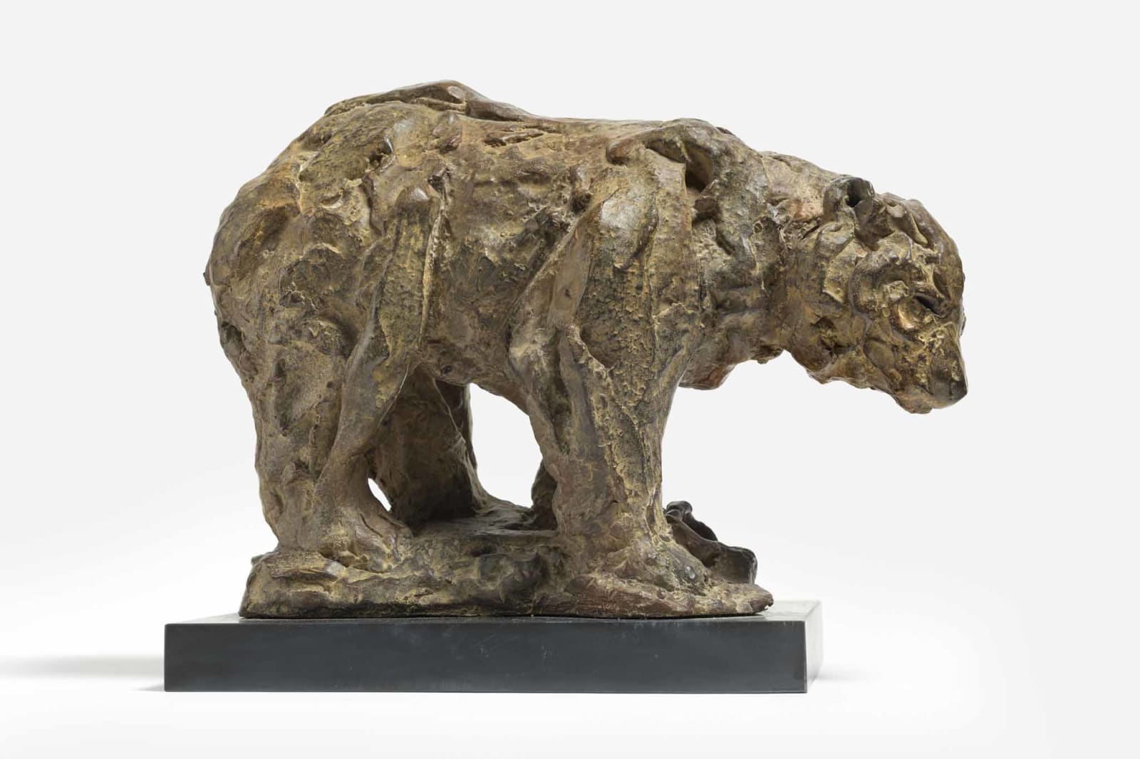 Tanya Brett, Brown Bear