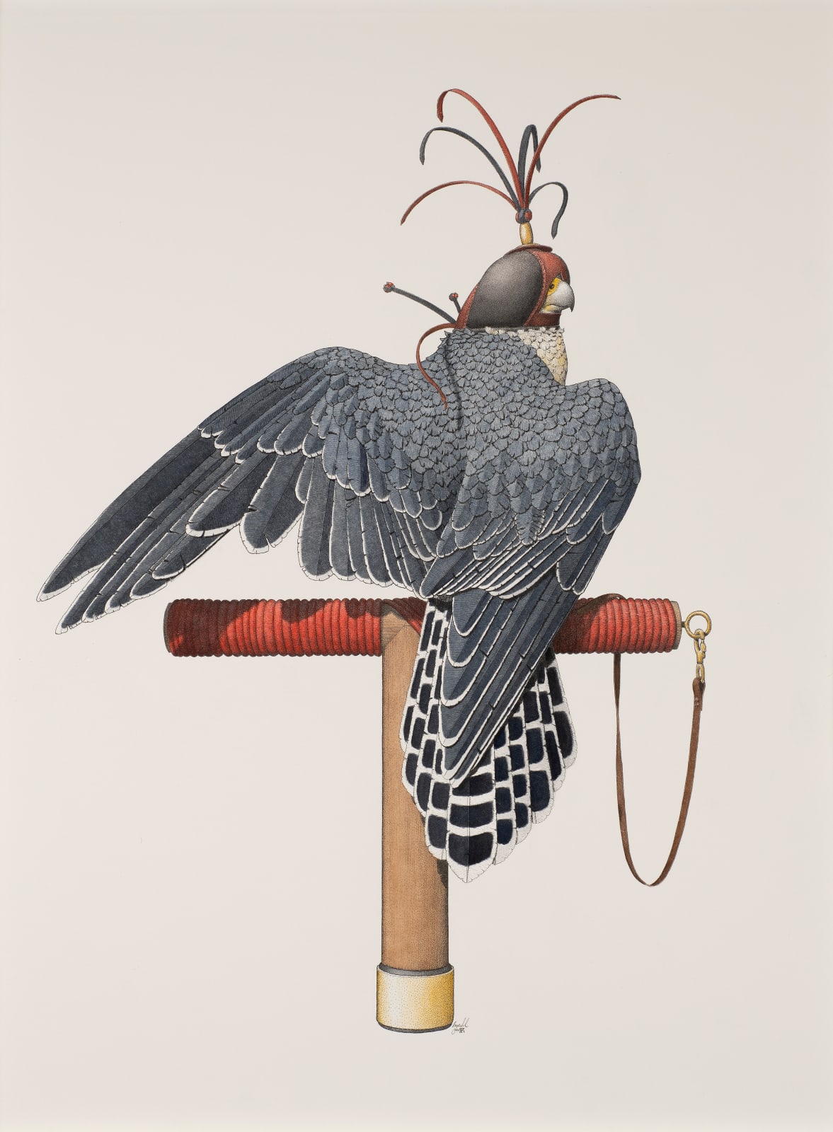 Angus Fisher, The Peregrine Falcon, 2020