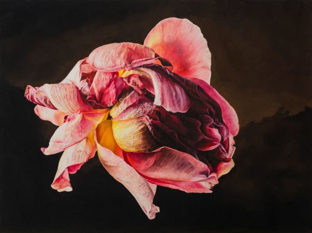 Rosie Sanders, Midnight Encounter, 2025