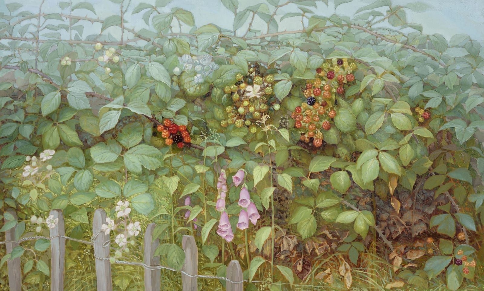 Jane Wormell, Blackberry Hedge II