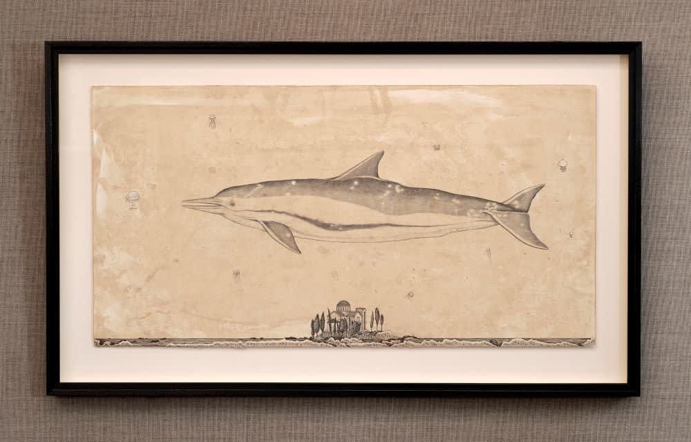 Andrea Collesano, DELPHINIADE (Dolphin) , 2025