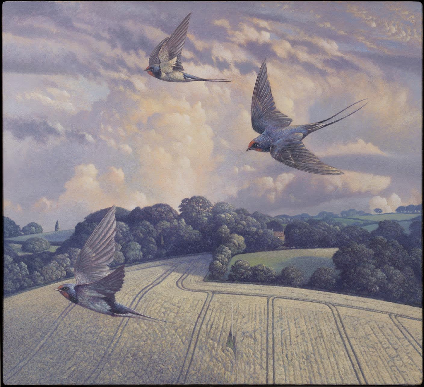 James Lynch, Swallows Dancing Hill, 2021