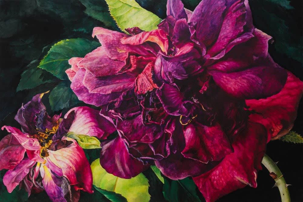 Rosie Sanders, Satin in Their Darks, 2025