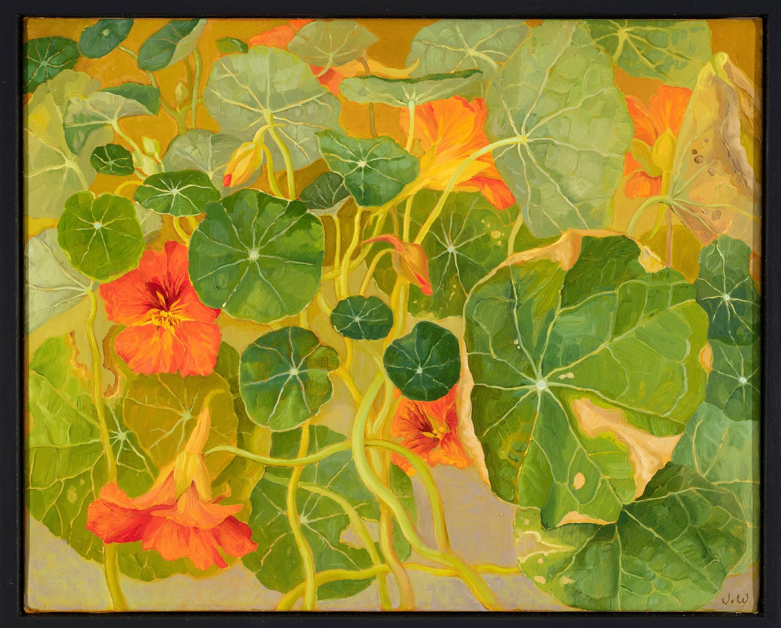 Jane Wormell, Nasturtiums