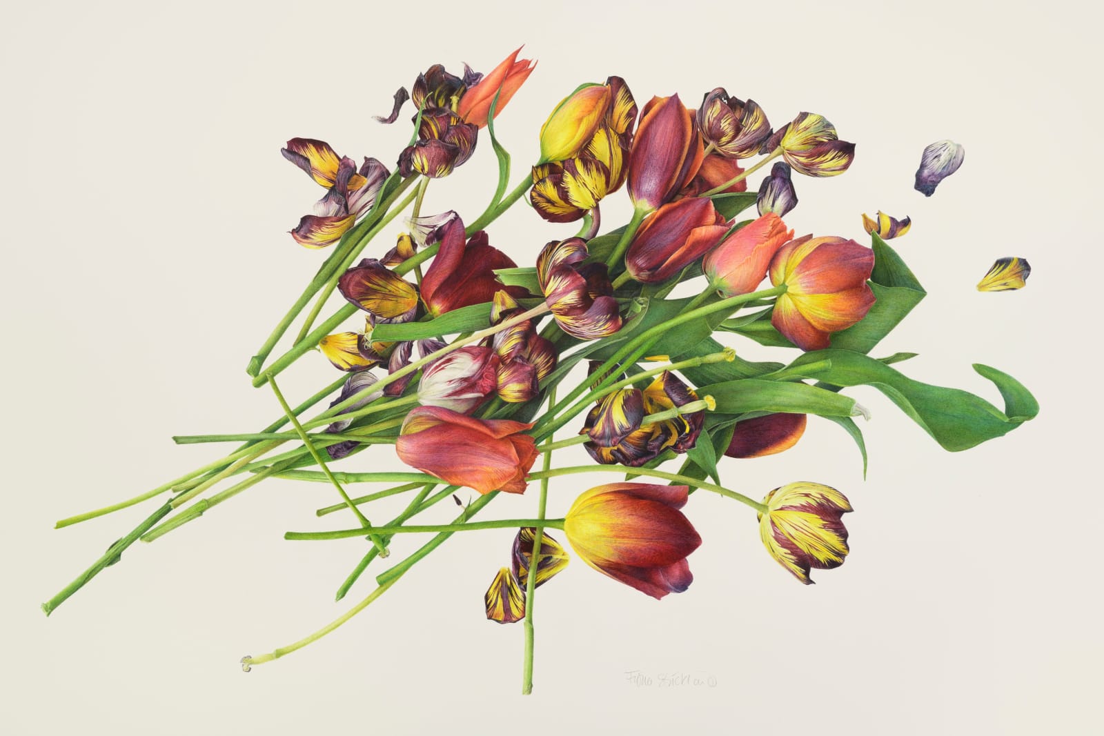 Fiona Strickland, Sonata, 2022