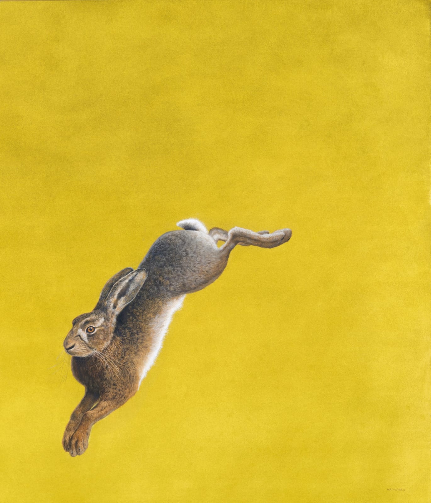 Tim Hayward, The Leap - Yellow