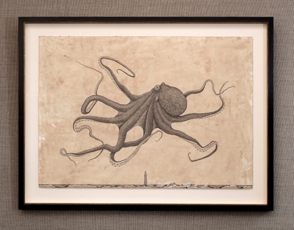 Andrea Collesano, ASCENSIONE ( Octopus ), 2025
