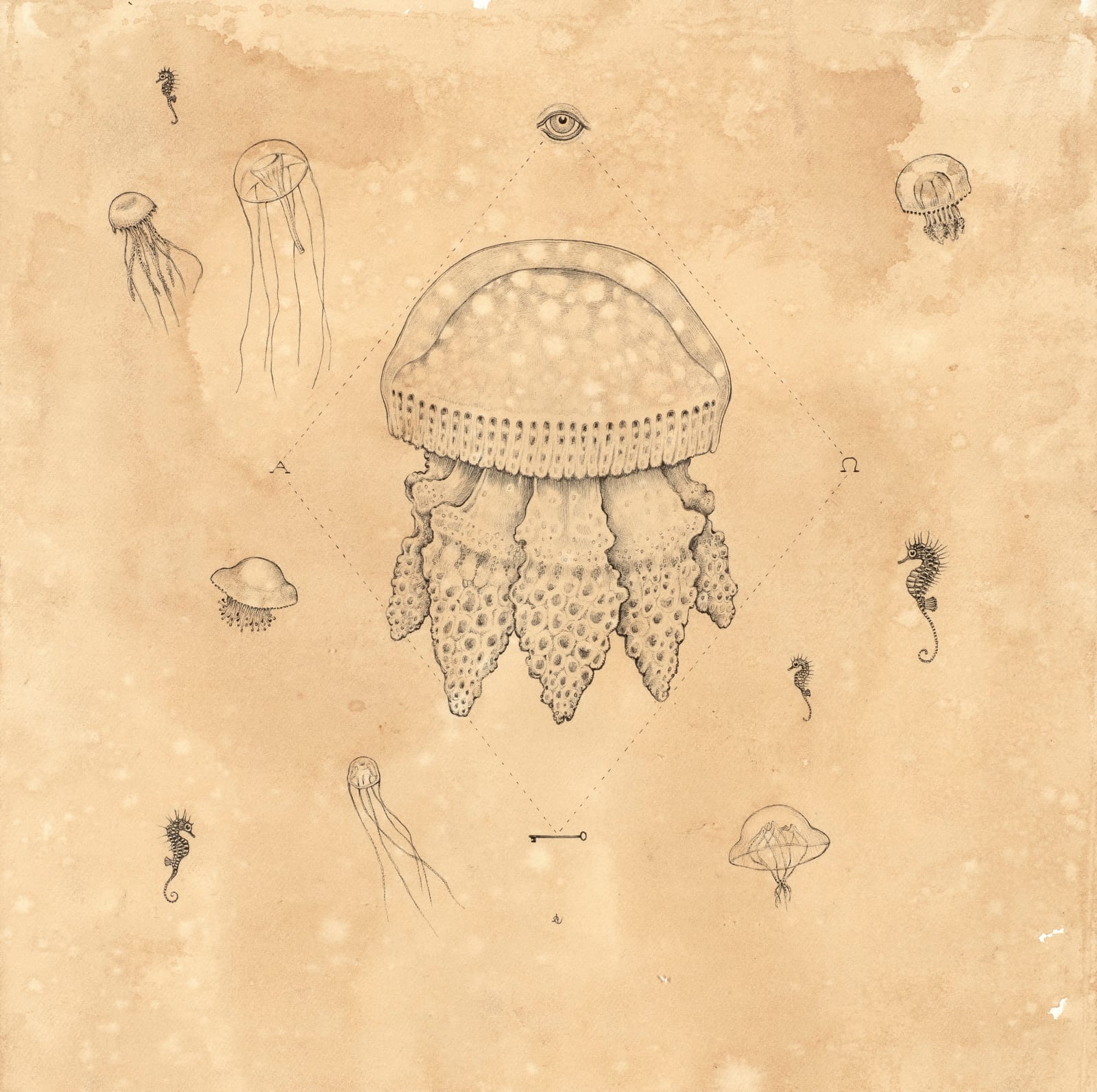 Andrea Collesano, MELODIAM , 2022