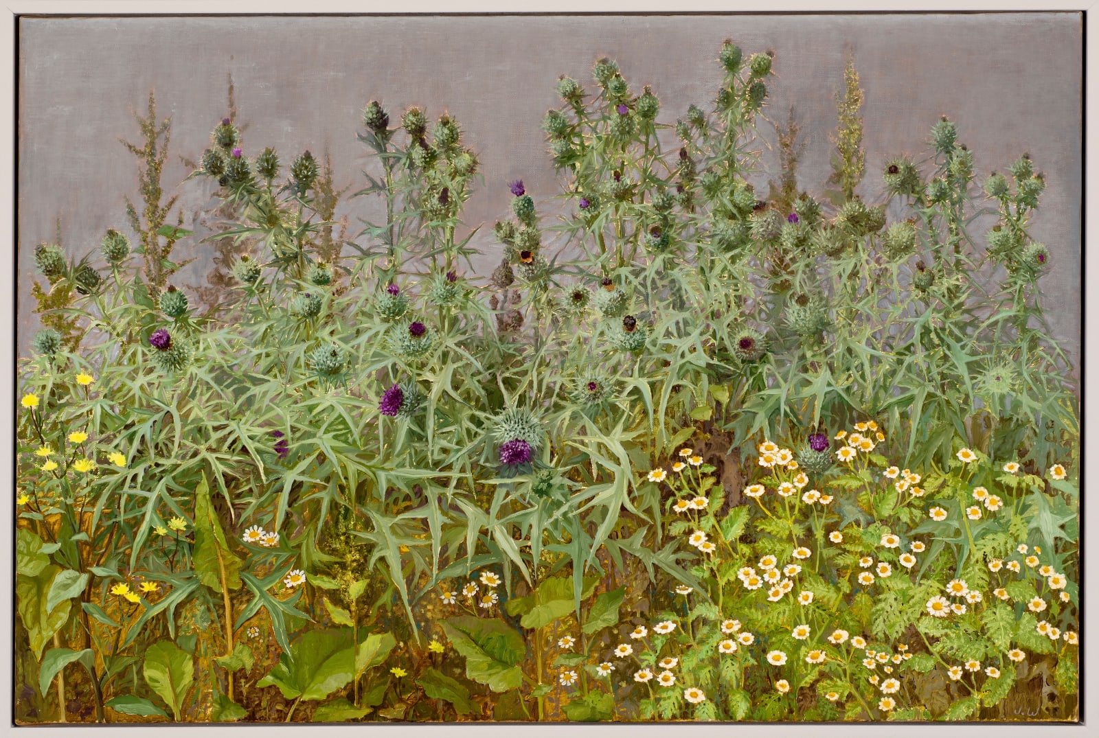 Jane Wormell, Selkirk Thistles