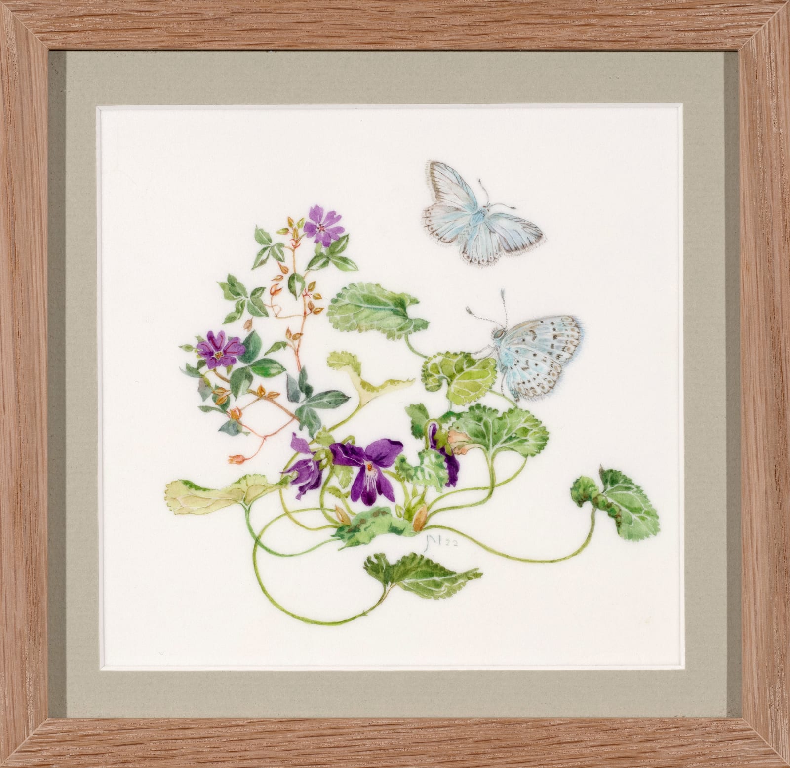Janet Marsh, Violet viola riviniana ,and chalk hill blue butterflies Lysandra coridon, 2022
