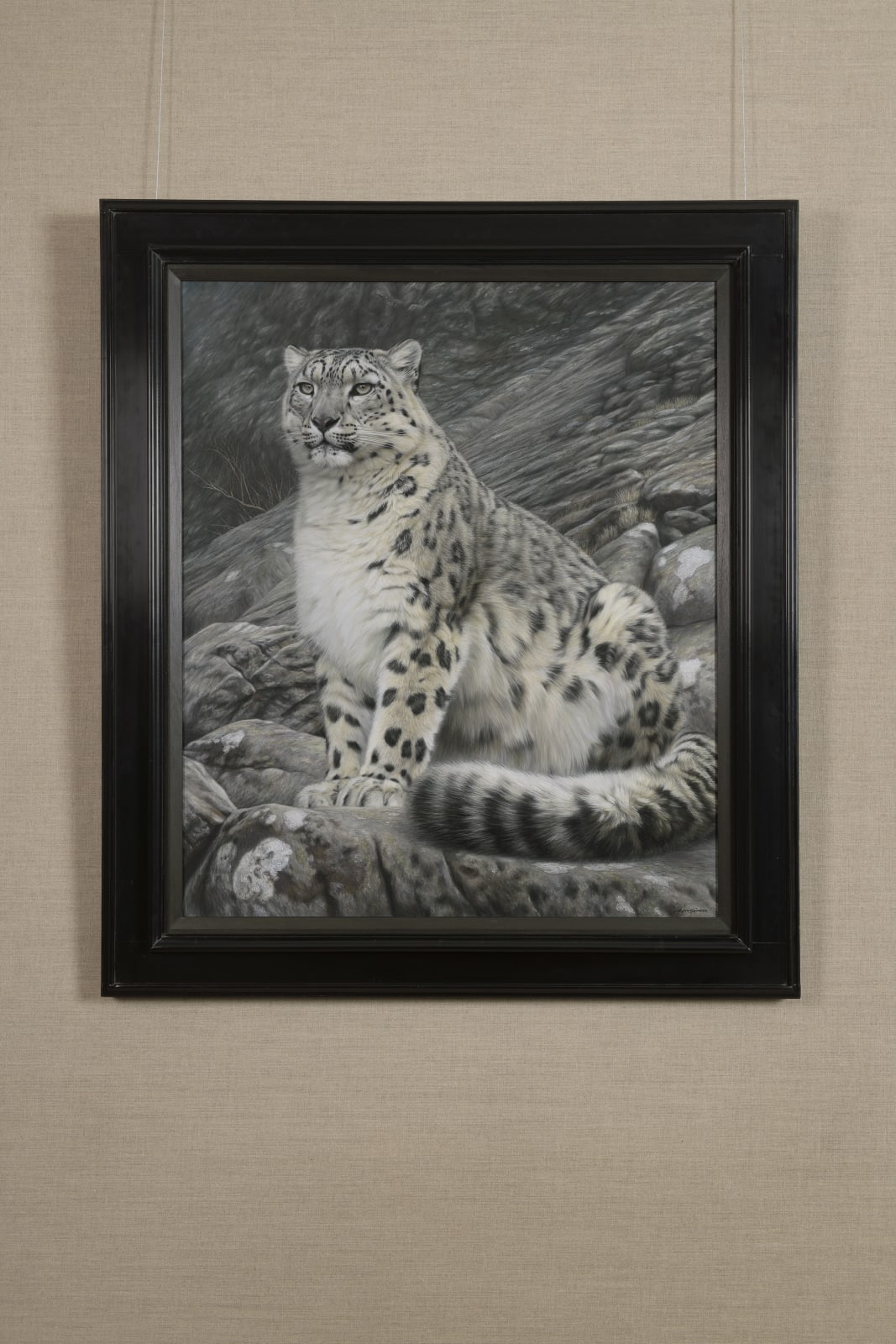 Gary Stinton, Sitting Snow Leopard