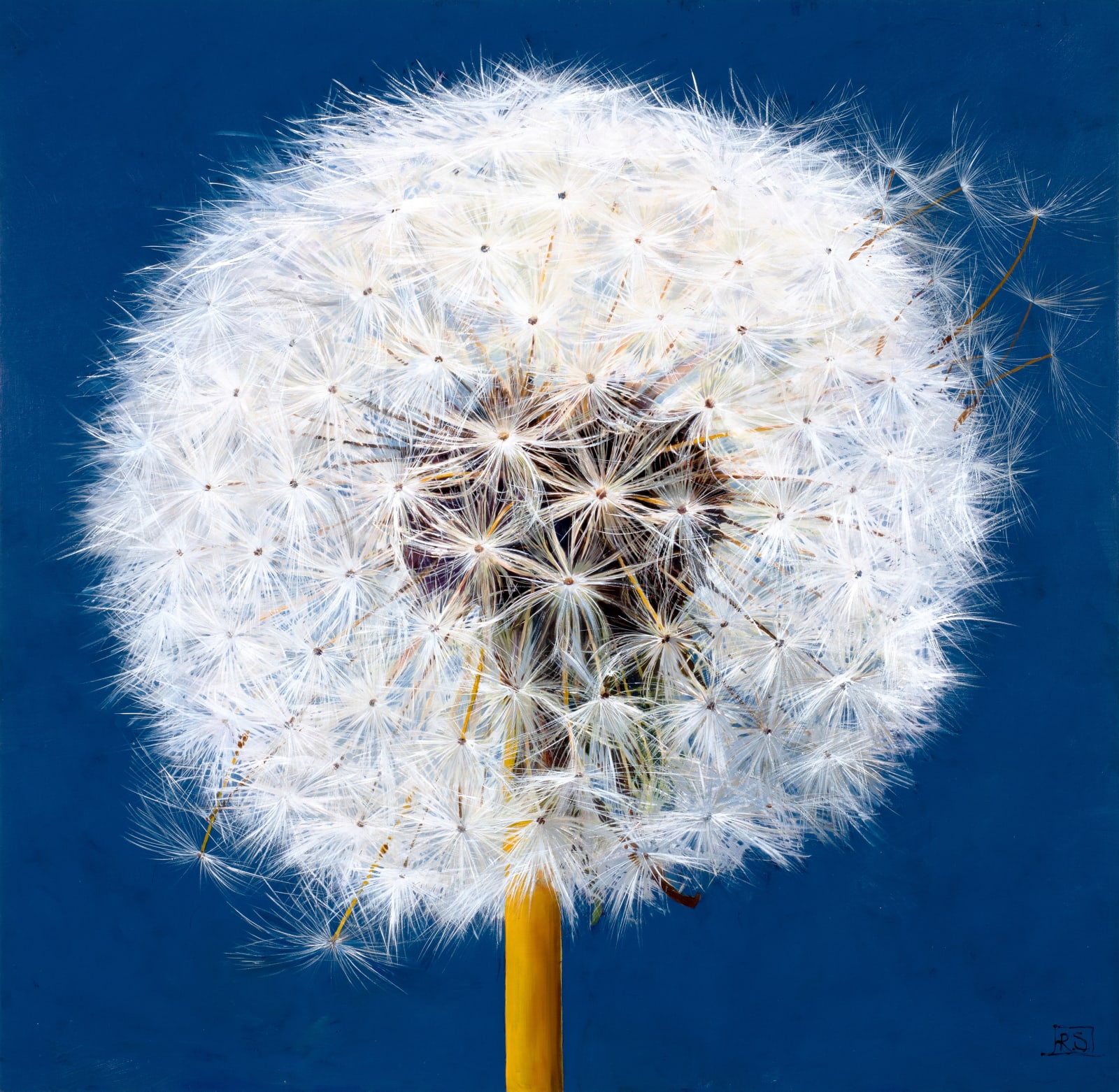 Rosie Sanders, Seeds of Time, 2023