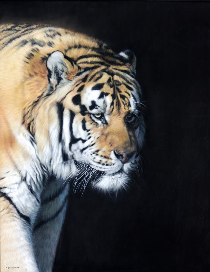 Gary Stinton, Close Encounter I Amur Tiger