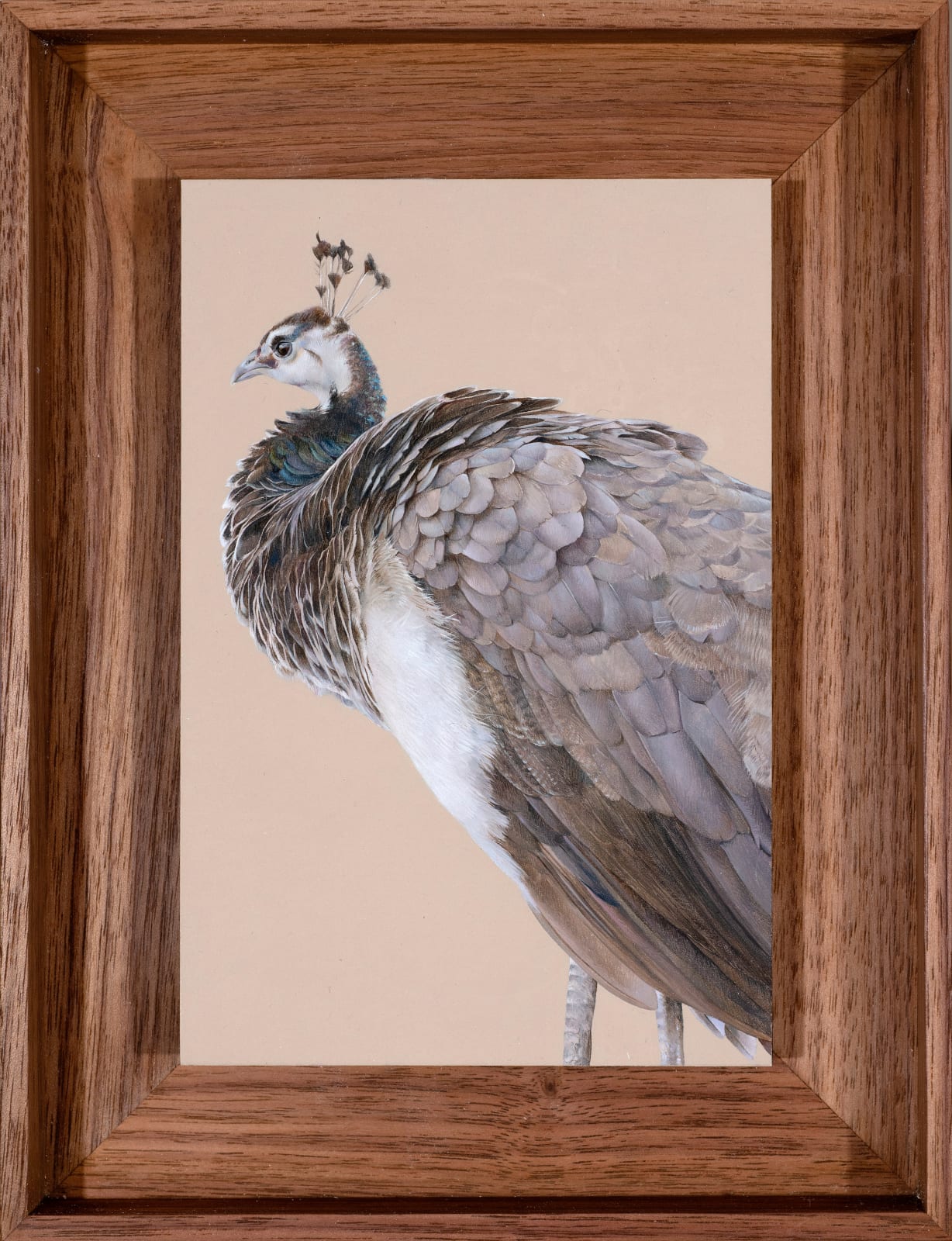 Joseph Black, Still, 2022