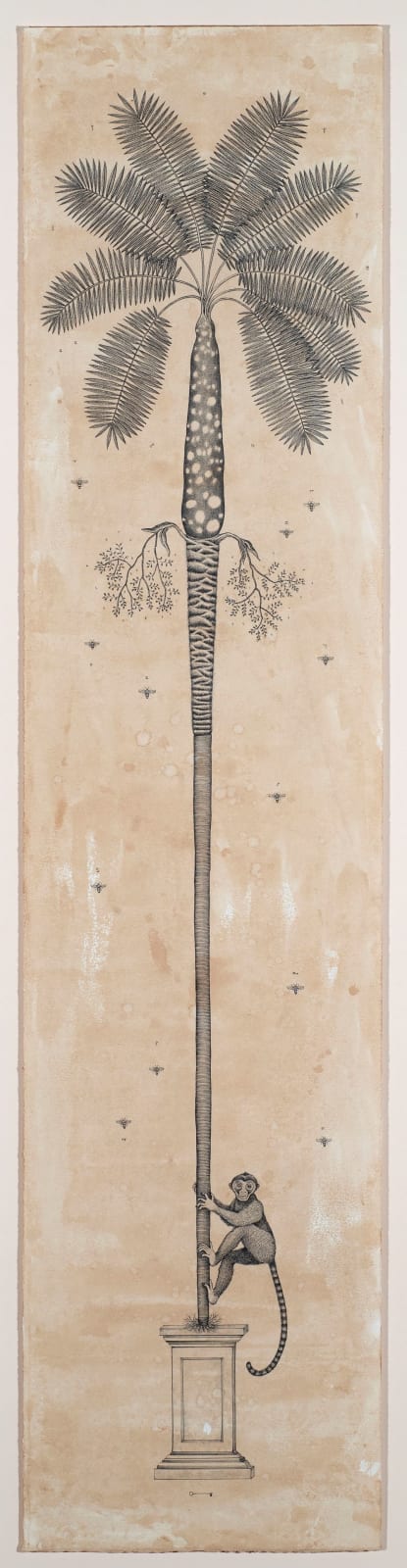 Andrea Collesano, ARECALES (Palm Tree), 2025
