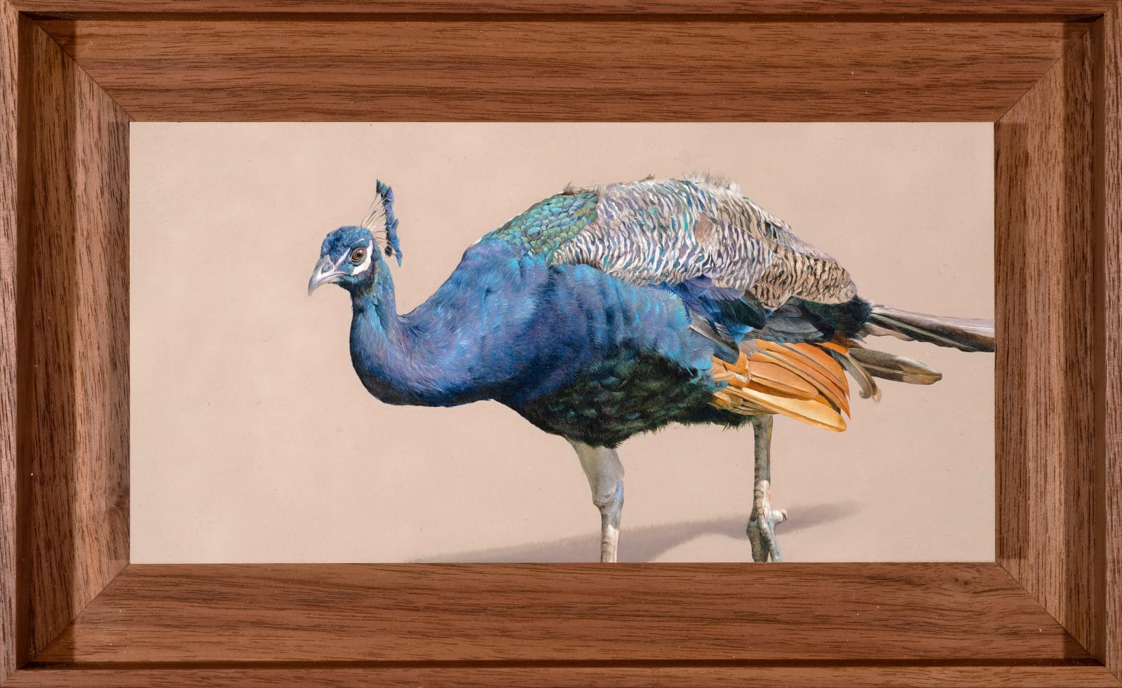 Joseph Black, Pavonini III, 2022