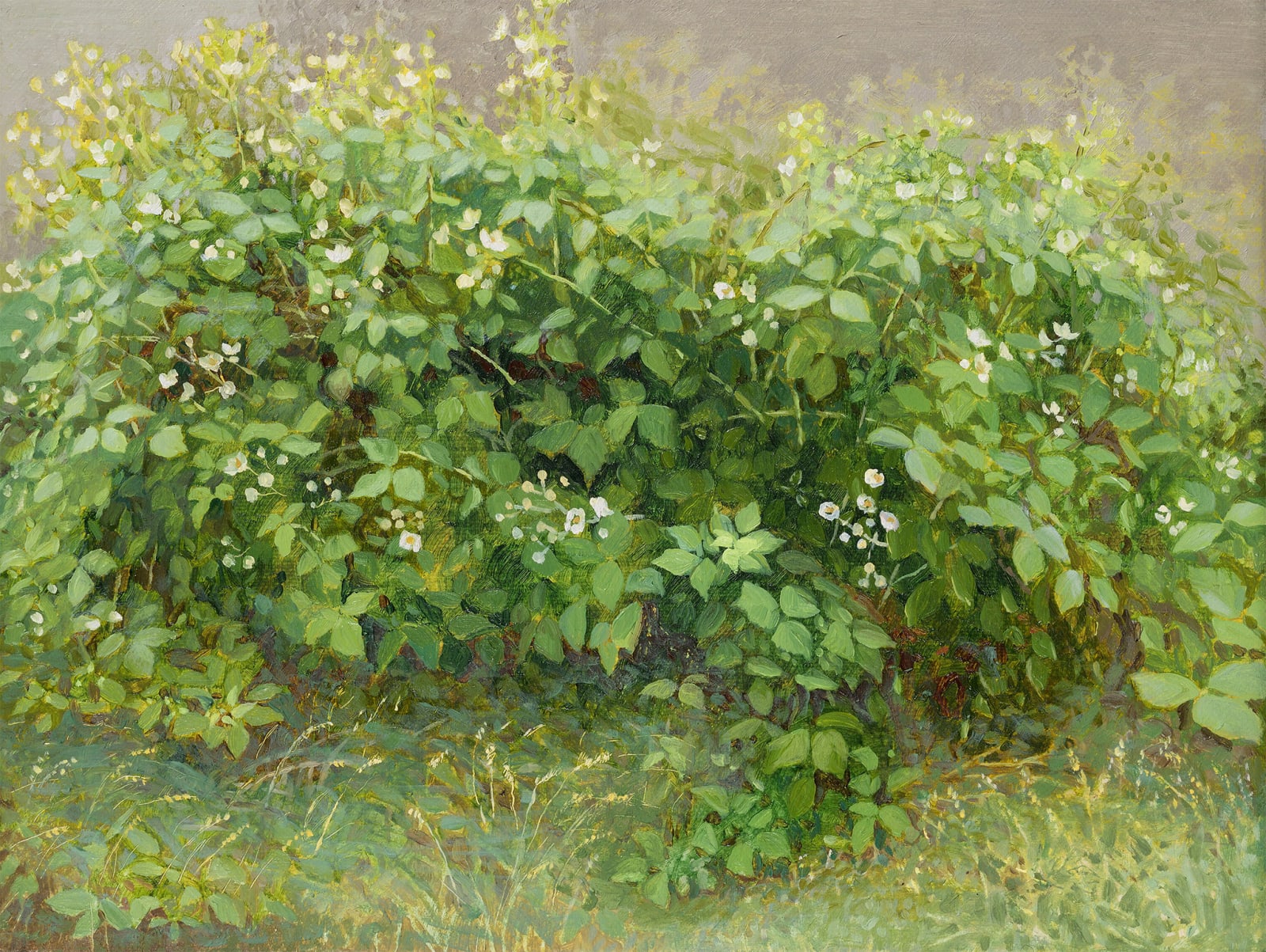 Jane Wormell, Flowering Brambles, 2020