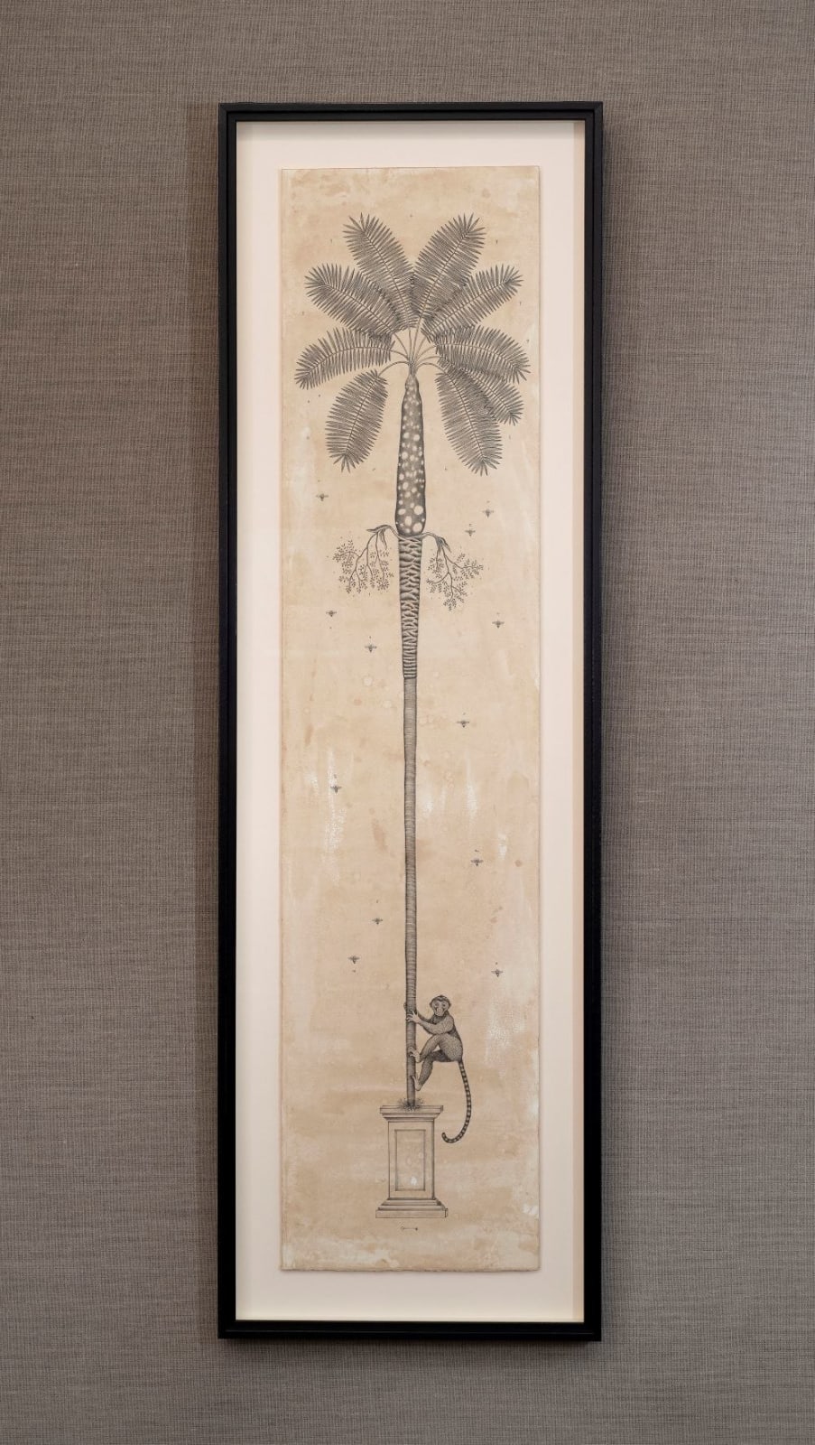 Andrea Collesano, ARECALES (Palm Tree), 2025