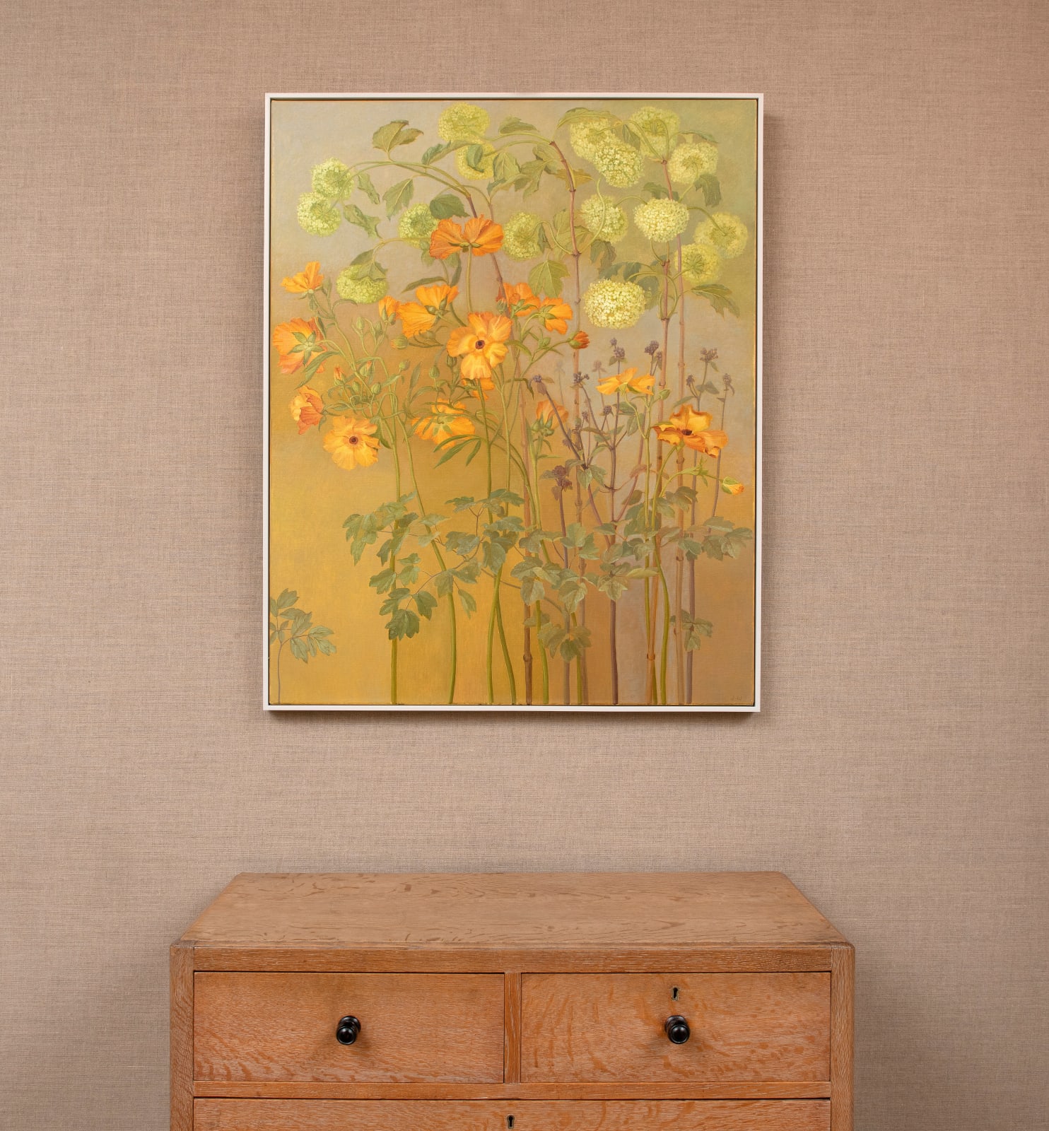 Jane Wormell, Viburnum, Ranunculus & Thalictrum